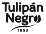 Tulipán Negro Tulipán Negro