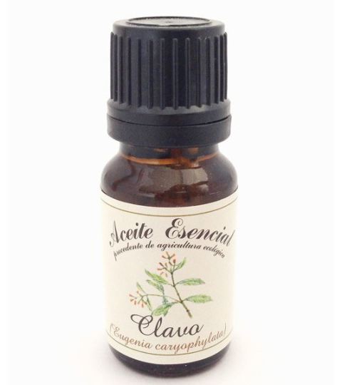 Nelke ätherisches Öl 10 ml Nelke ätherisches Öl 10 ml