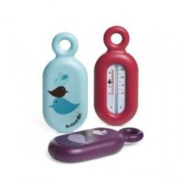 Bao Thermometer Bao Thermometer