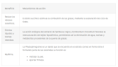 Minucell Reduzierende Spannemulsion 200 ml Minucell Reduzierende Spannemulsion 200 ml