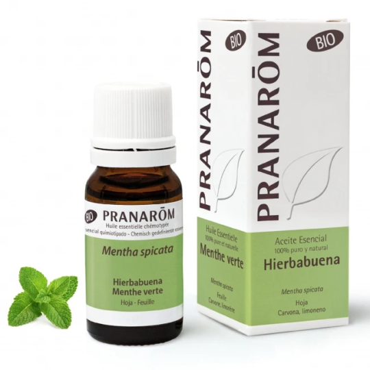 Pfefferminze Aereas Bio 10 ml Pfefferminze Aereas Bio 10 ml
