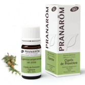 Zypresse der Provence Branch Bio Zypresse der Provence Branch Bio
