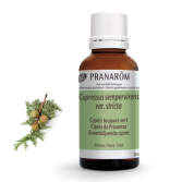 Zypresse der Provence Branch Bio Zypresse der Provence Branch Bio