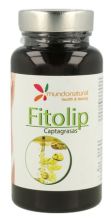Phytolip 60 Kapseln Phytolip 60 Kapseln