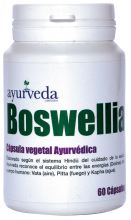 Boswelia 60 Kapseln Boswelia 60 Kapseln