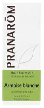 Beifuß Weiß Sumidad Florida 10 ml Beifuß Weiß Sumidad Florida 10 ml