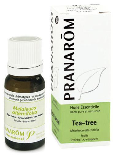 Teebaumblatt Bio 30 ml Teebaumblatt Bio 30 ml