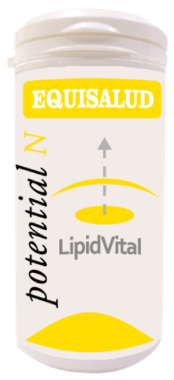 Lipidvital 60 Kapseln Lipidvital 60 Kapseln