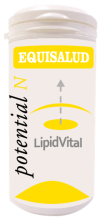 Lipidvital 60 Kapseln Lipidvital 60 Kapseln