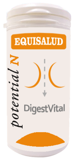 Digessvital 60 Kapseln Digessvital 60 Kapseln