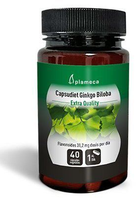 Ginkgo Biloba Kapsudiet 40 Kapseln