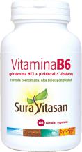 Vitamin B6 60 Kapseln Vitamin B6 60 Kapseln