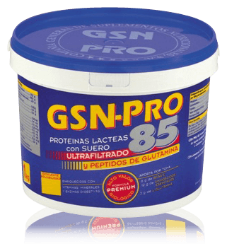 GSN-Pro 85 Schoko-Geschmack