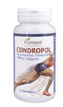 Glucosamine Msm Condr Collagen 60 Tabletten Glucosamine Msm Condr Collagen 60 Tabletten