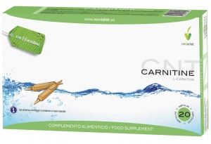 L-Carnitin 20 Ampullen L-Carnitin 20 Ampullen