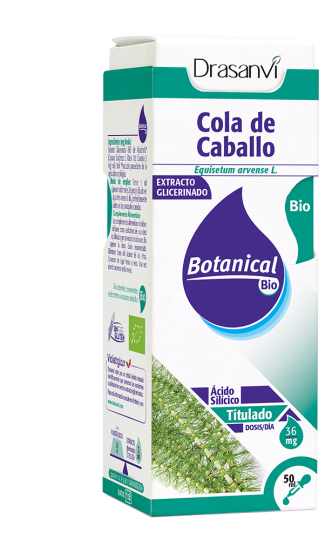 Glycerinierter Schachtelhalm 50ml botanische Bio Glycerinierter Schachtelhalm 50ml botanische Bio