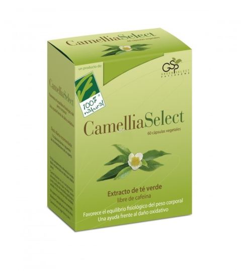 CamelliaSelect CamelliaSelect