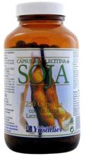 Sojalecithin 250 Perlen 500 mg Cholesterin Sojalecithin 250 Perlen 500 mg Cholesterin