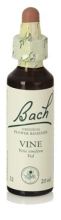 Bach 32 Weinstock 20 ml Bach 32 Weinstock 20 ml