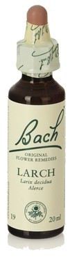 Bach 19 Lärche 20 ml Bach 19 Lärche 20 ml
