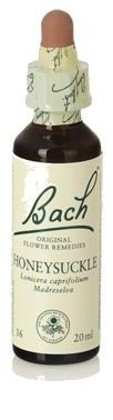 Bach 16 Geißblatt 20 ml Bach 16 Geißblatt 20 ml