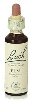 Bach 11 Ulme 20 ml Bach 11 Ulme 20 ml