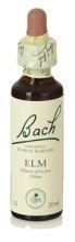Bach 11 Ulme 20 ml Bach 11 Ulme 20 ml