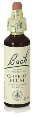 Bach 6 Kirschpflaume 20 ml Bach 6 Kirschpflaume 20 ml