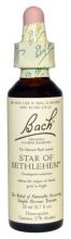 Bach 29 Stern von Bethlehem 20 ml Bach 29 Stern von Bethlehem 20 ml