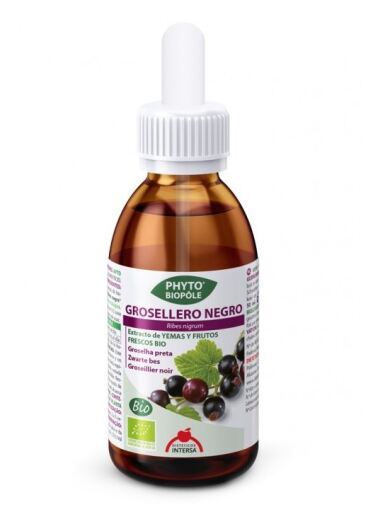 Phytobiopole Schwarze Johannisbeere 50 ml Phytobiopole Schwarze Johannisbeere 50 ml