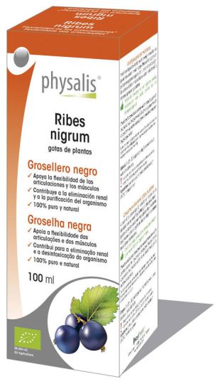 Ribes Nigrum 100ml Bio-Extrakt Ribes Nigrum 100ml Bio-Extrakt