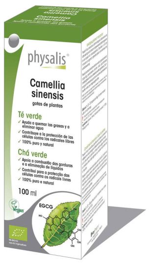 Bio-Grüntee Hydroalkoholischer Extrakt 100 ml Bio-Grüntee Hydroalkoholischer Extrakt 100 ml