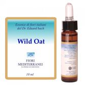 Fm 36 Wildhafer 10 ml Fm 36 Wildhafer 10 ml
