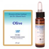 Fm 23 Olive 10 ml Fm 23 Olive 10 ml
