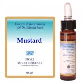 Fm 21 Senf 10 ml Fm 21 Senf 10 ml