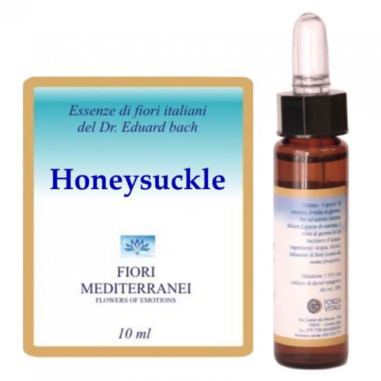 Fm 16 Geißblatt 10 ml Fm 16 Geißblatt 10 ml