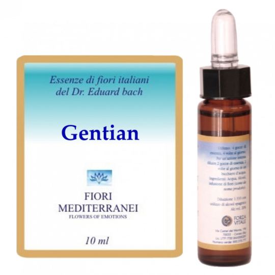 Fm 12 Enzian 10 ml Fm 12 Enzian 10 ml