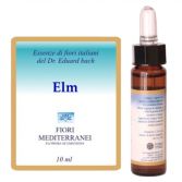 Fm 11 Ulme 10 ml