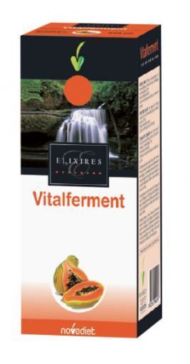 Vitalferment Fermentierte Papaya 250 ml Vitalferment Fermentierte Papaya 250 ml
