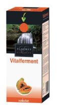 Vitalferment Fermentierte Papaya 250 ml Vitalferment Fermentierte Papaya 250 ml