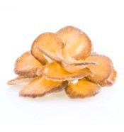 Maitake (Klapperschwamm) 60Vcap. Maitake (Klapperschwamm) 60Vcap.