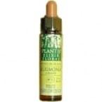 Scleranthus Plantis 10ml Nr. 28. Scleranthus Plantis 10ml Nr. 28.