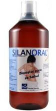 Grund Silanoral 1litro Grund Silanoral 1litro
