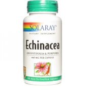 Echinacea Angustifolia purpurea 460 mg 100 Kapseln Echinacea Angustifolia purpurea 460 mg 100 Kapseln