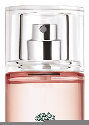 R&ecirc;ve de Th&eacute; duftendes Erhebungswasser 100 ml